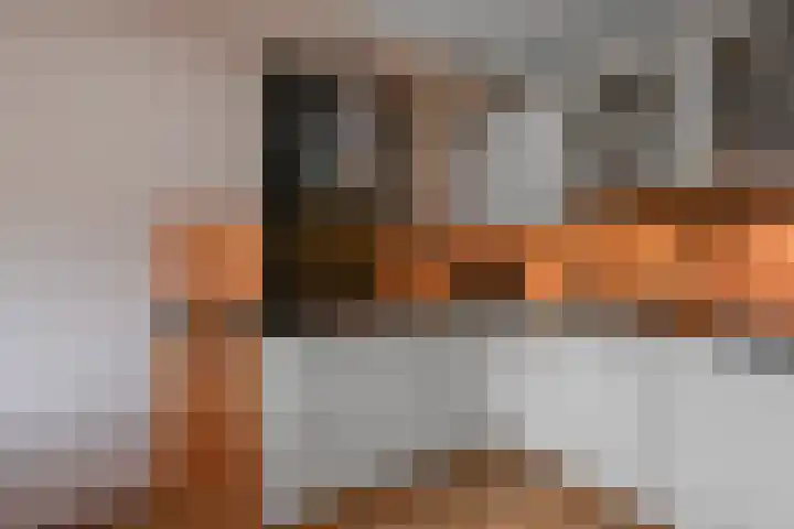 Saendelverlaan 143 Assendelft thumbnail 14