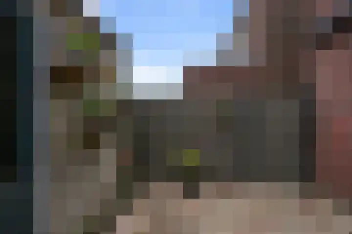 Saendelverlaan 143 Assendelft thumbnail 15