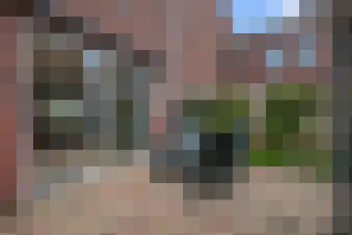 Saendelverlaan 143 Assendelft thumbnail 16
