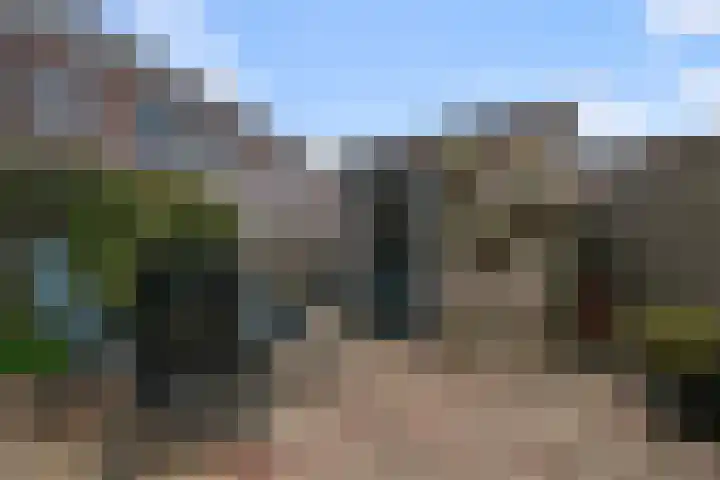 Saendelverlaan 143 Assendelft thumbnail 17