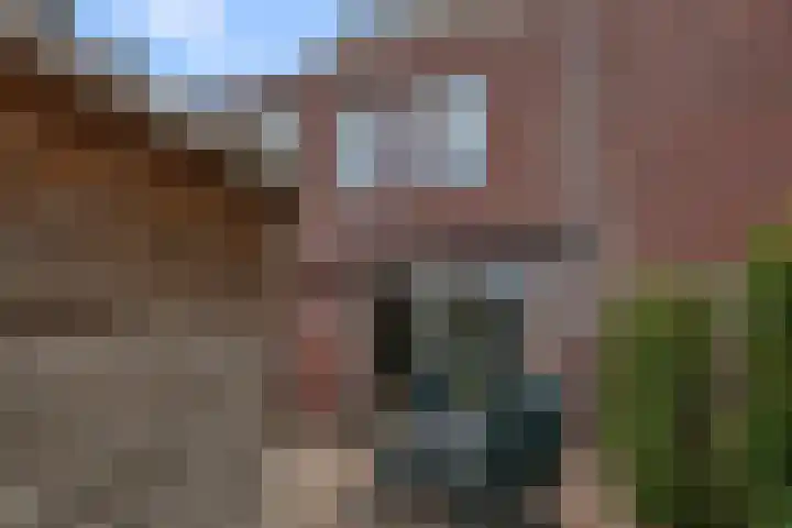 Saendelverlaan 143 Assendelft thumbnail 18