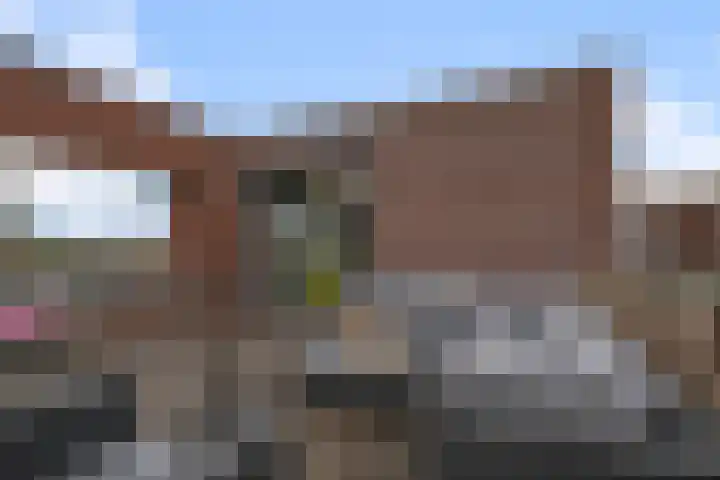 Saendelverlaan 143 Assendelft foto 2