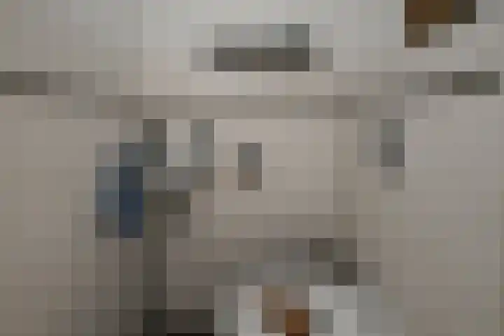Saendelverlaan 143 Assendelft thumbnail 20
