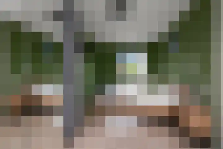 Saendelverlaan 143 Assendelft thumbnail 23