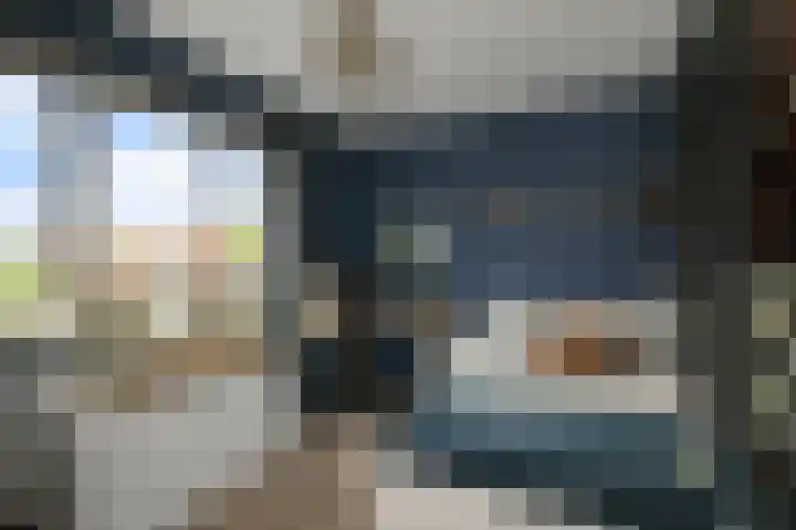 Saendelverlaan 143 Assendelft thumbnail 30