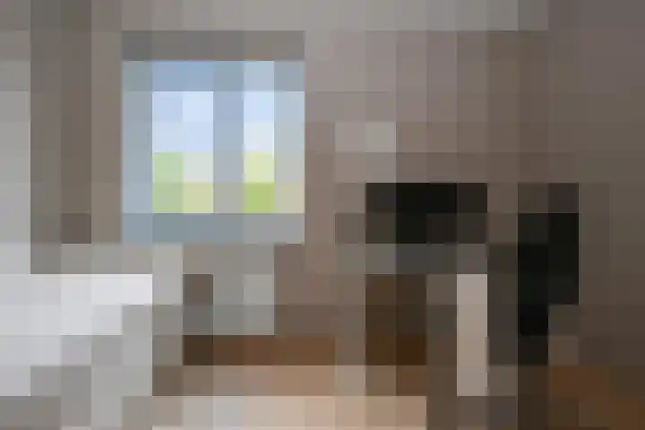 Saendelverlaan 143 Assendelft thumbnail 31