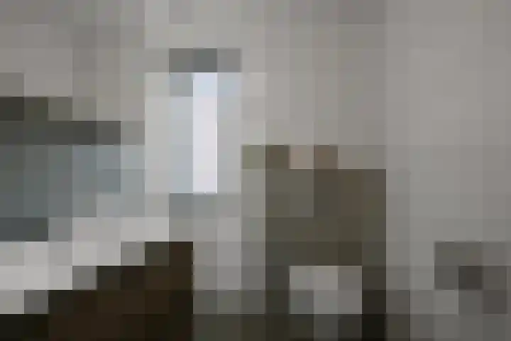 Saendelverlaan 143 Assendelft thumbnail 33