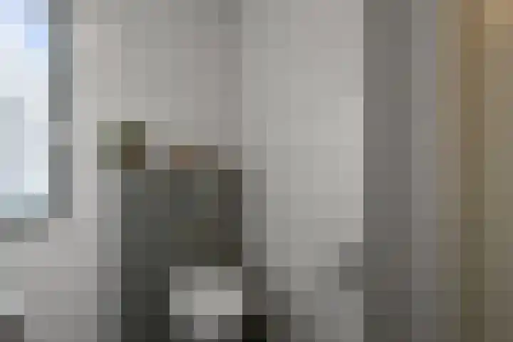 Saendelverlaan 143 Assendelft thumbnail 34