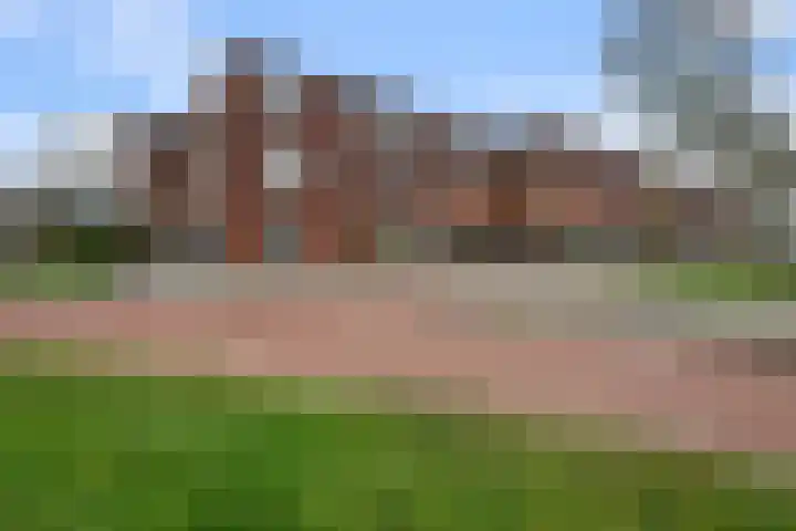 Saendelverlaan 143 Assendelft thumbnail 48