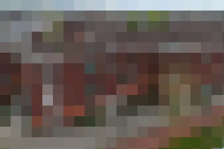 Saendelverlaan 143 Assendelft thumbnail 49