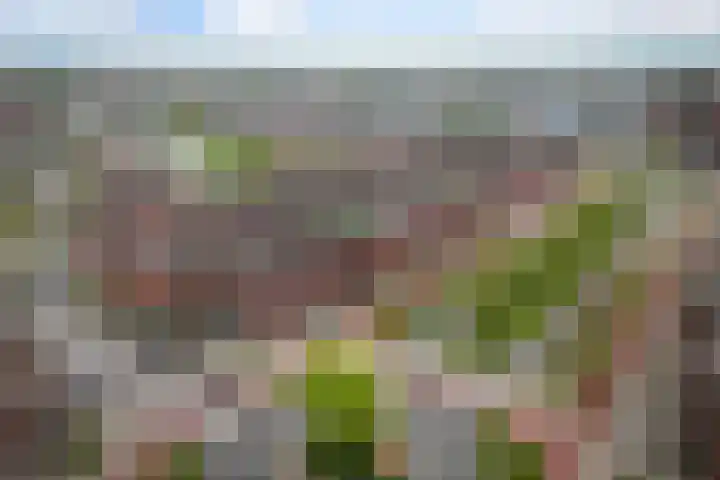 Saendelverlaan 143 Assendelft thumbnail 51