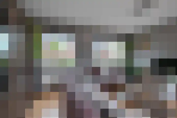 Saendelverlaan 143 Assendelft thumbnail 8
