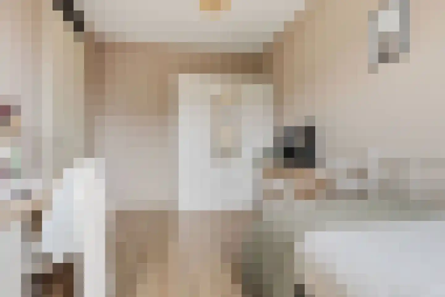 Saendelverlaan 149 Assendelft thumbnail 17
