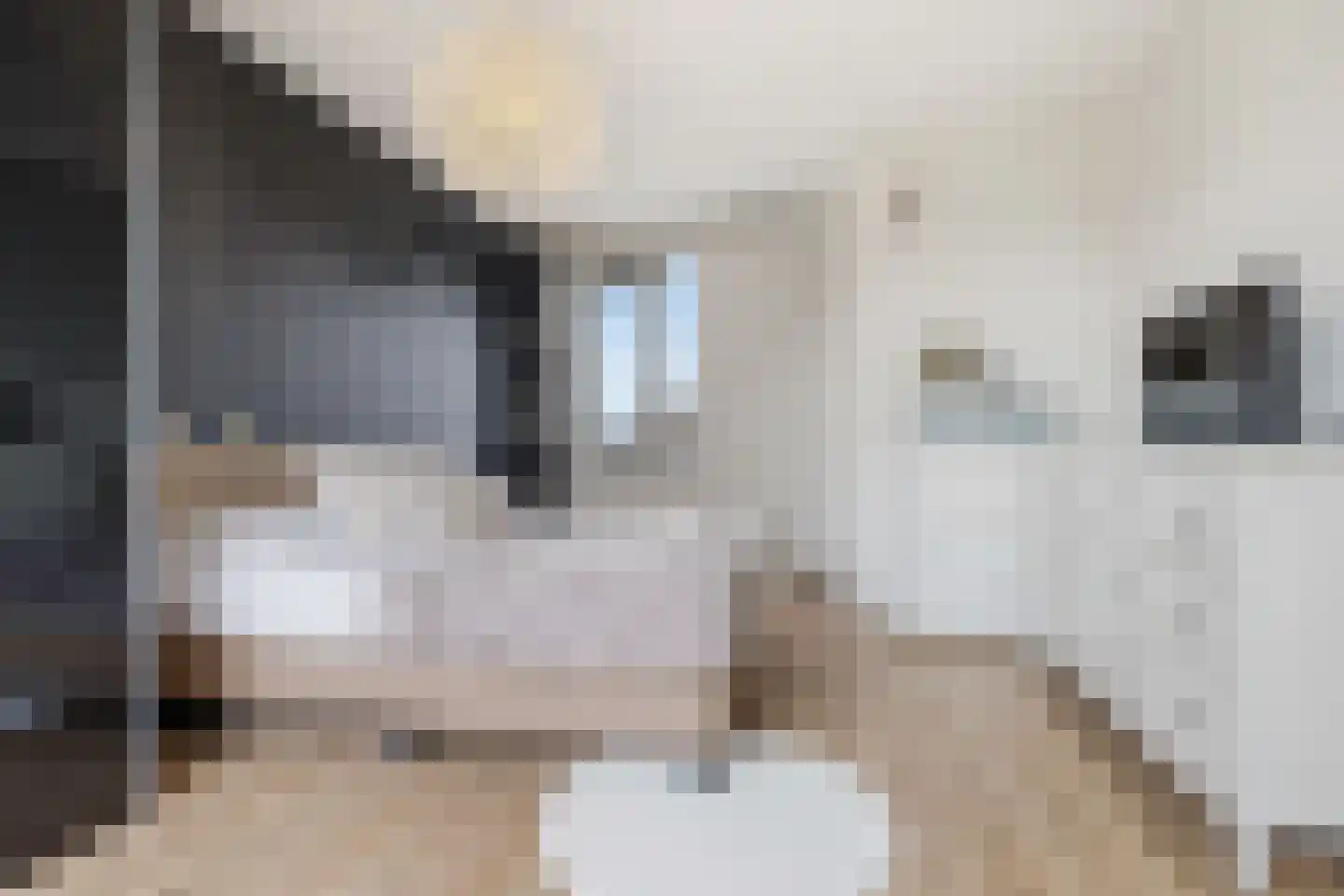 Saendelverlaan 149 Assendelft thumbnail 24