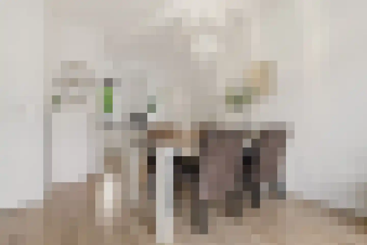 Saendelverlaan 149 Assendelft thumbnail 6
