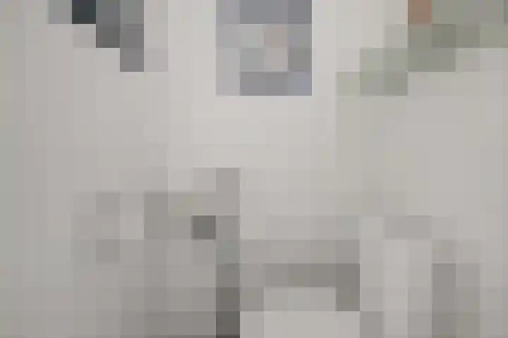 Saendelverlaan 153 Assendelft thumbnail 10