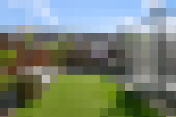 Saendelverlaan 153 Assendelft thumbnail 11