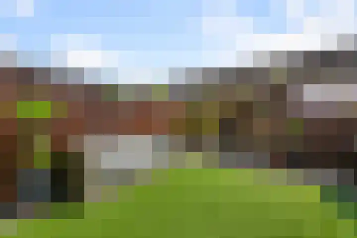 Saendelverlaan 153 Assendelft thumbnail 12