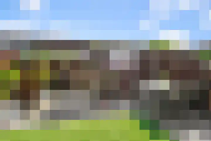 Saendelverlaan 153 Assendelft thumbnail 13