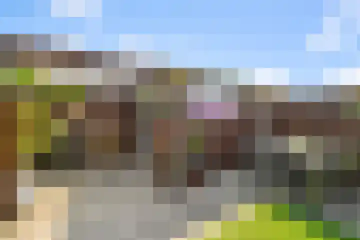 Saendelverlaan 153 Assendelft thumbnail 14