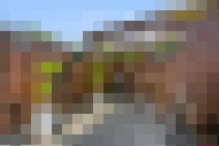 Saendelverlaan 153 Assendelft thumbnail 15