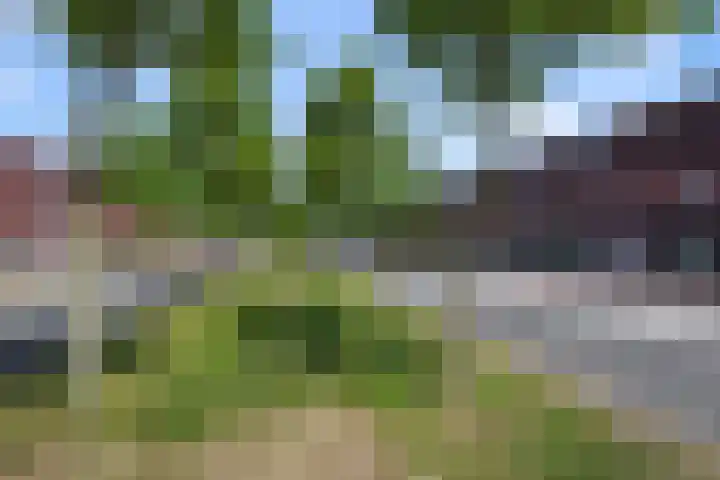 Saendelverlaan 153 Assendelft thumbnail 17