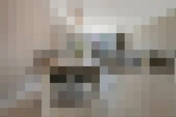 Saendelverlaan 153 Assendelft foto 2