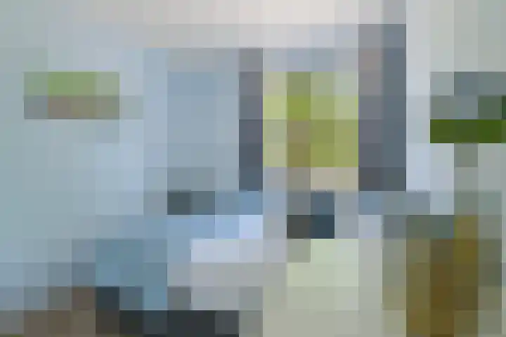 Saendelverlaan 153 Assendelft thumbnail 20