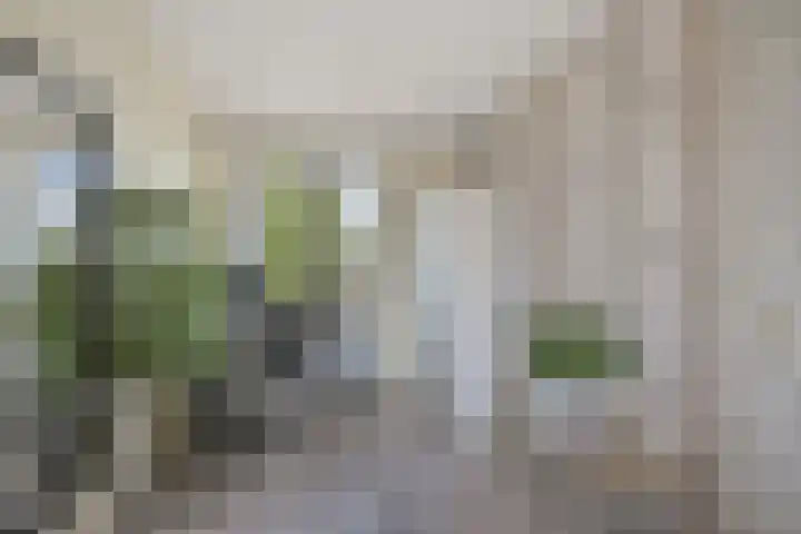 Saendelverlaan 153 Assendelft thumbnail 24