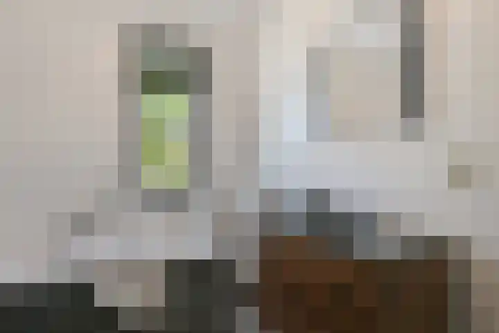 Saendelverlaan 153 Assendelft thumbnail 25