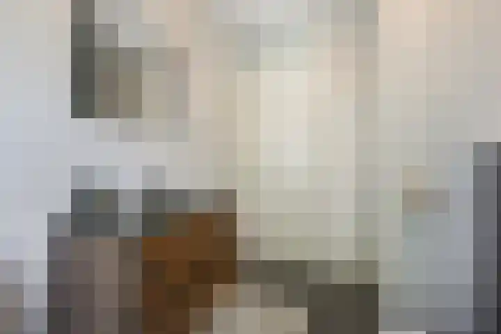 Saendelverlaan 153 Assendelft thumbnail 27