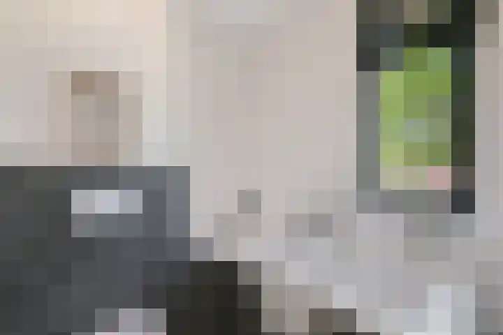 Saendelverlaan 153 Assendelft thumbnail 28