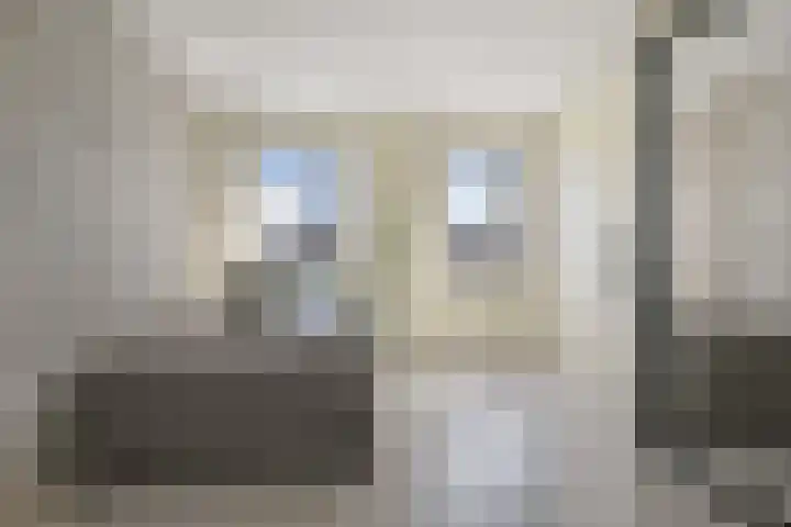 Saendelverlaan 153 Assendelft thumbnail 29