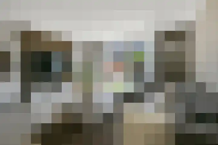 Saendelverlaan 153 Assendelft foto 3