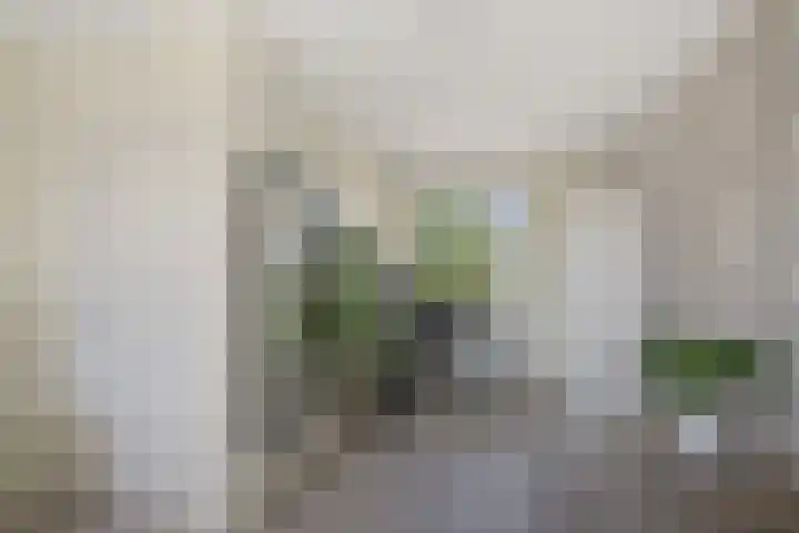 Saendelverlaan 153 Assendelft thumbnail 31