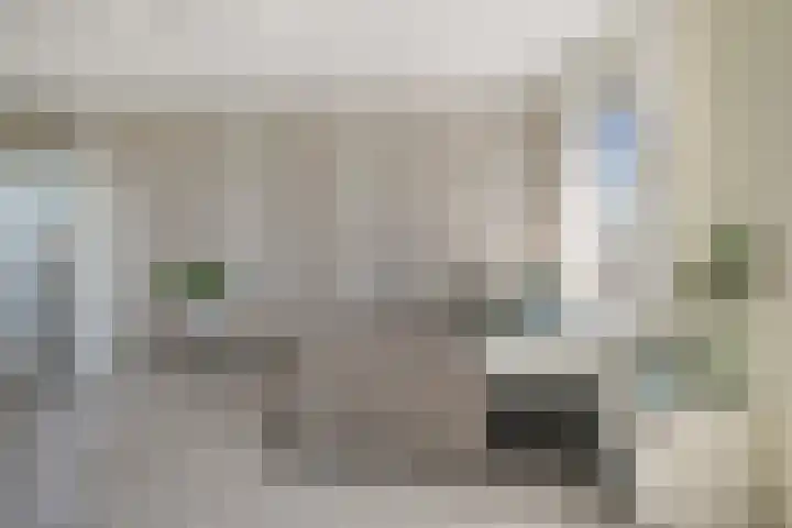 Saendelverlaan 153 Assendelft thumbnail 32