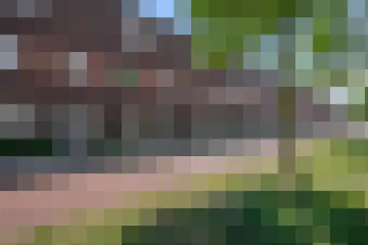 Saendelverlaan 153 Assendelft thumbnail 33