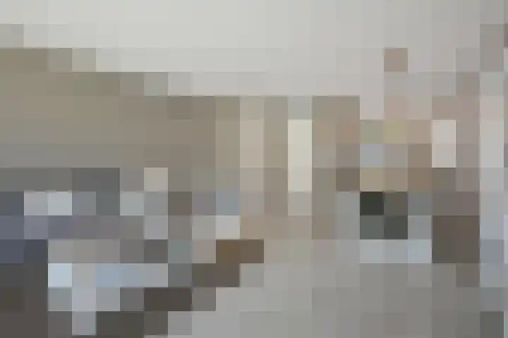 Saendelverlaan 153 Assendelft thumbnail 5