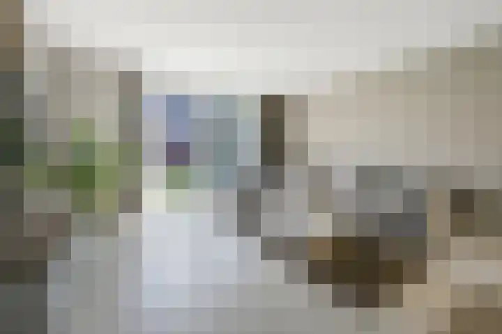 Saendelverlaan 153 Assendelft thumbnail 6