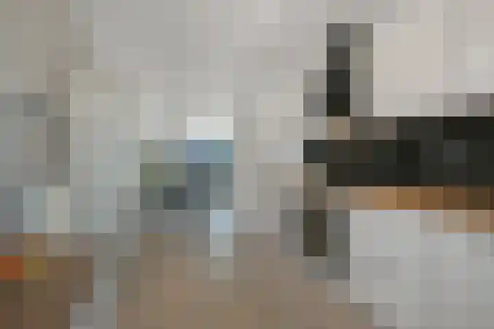 Saendelverlaan 153 Assendelft thumbnail 9