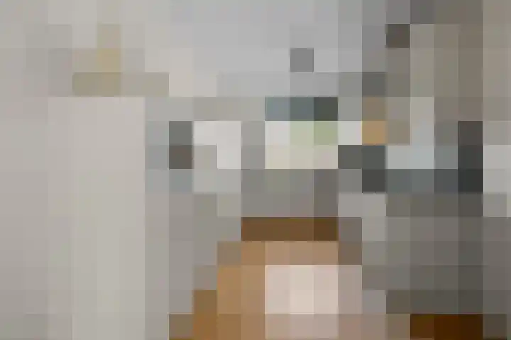Saendelverlaan 173 Assendelft thumbnail 10