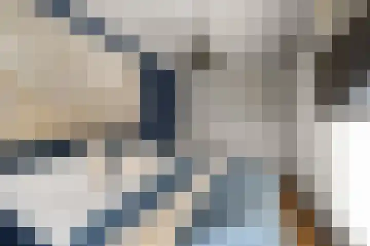 Saendelverlaan 173 Assendelft thumbnail 12