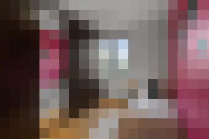 Saendelverlaan 173 Assendelft thumbnail 17