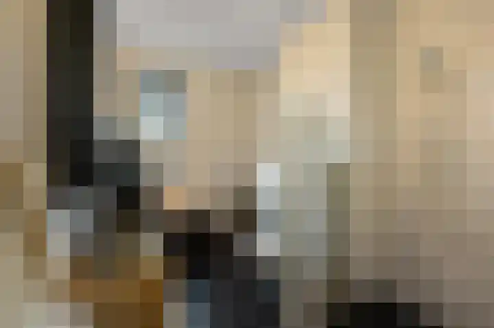 Saendelverlaan 173 Assendelft thumbnail 19