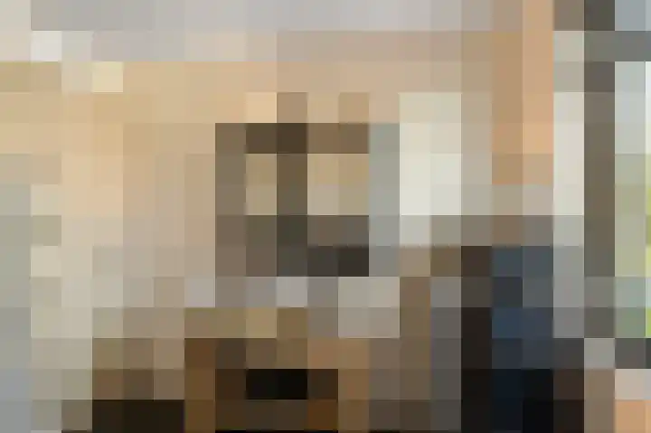 Saendelverlaan 173 Assendelft thumbnail 20