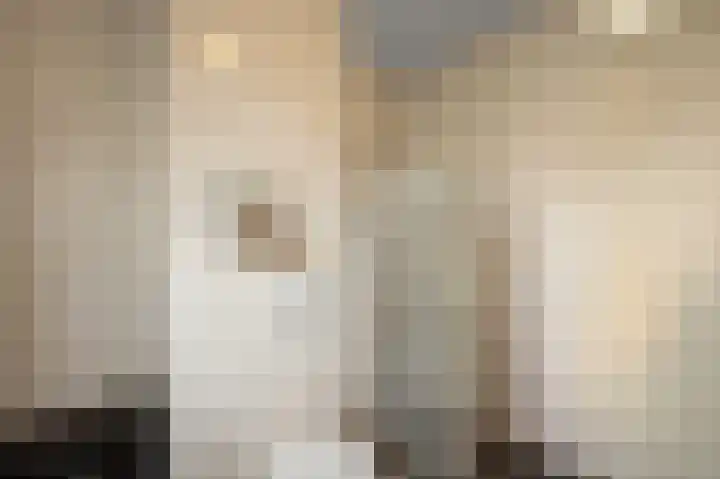 Saendelverlaan 173 Assendelft thumbnail 22