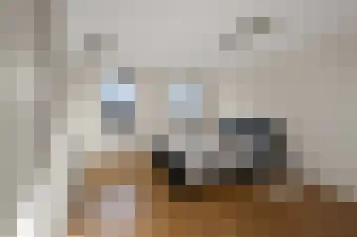 Saendelverlaan 173 Assendelft thumbnail 23