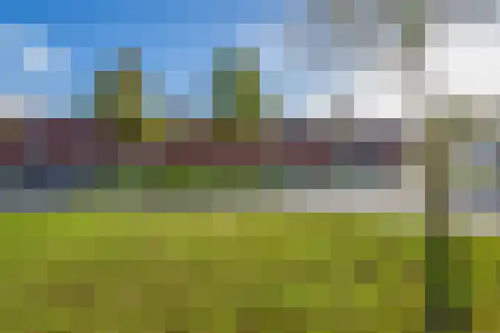 Saendelverlaan 173 Assendelft thumbnail 29