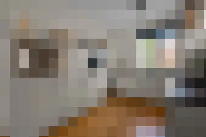 Saendelverlaan 173 Assendelft thumbnail 9