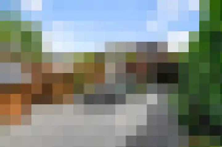 Saendelverlaan 179 Assendelft thumbnail 10